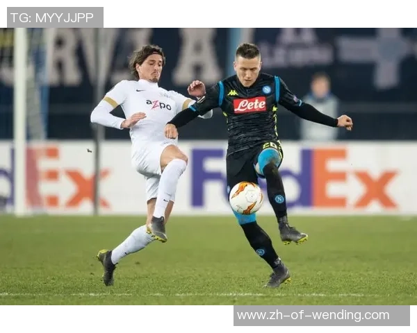 希拉尔与浦和红钻激战决赛定于11月25日精彩上演